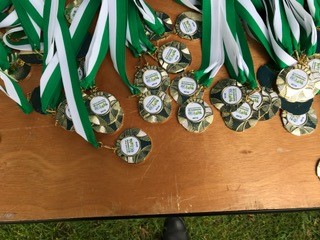 medals-on-table