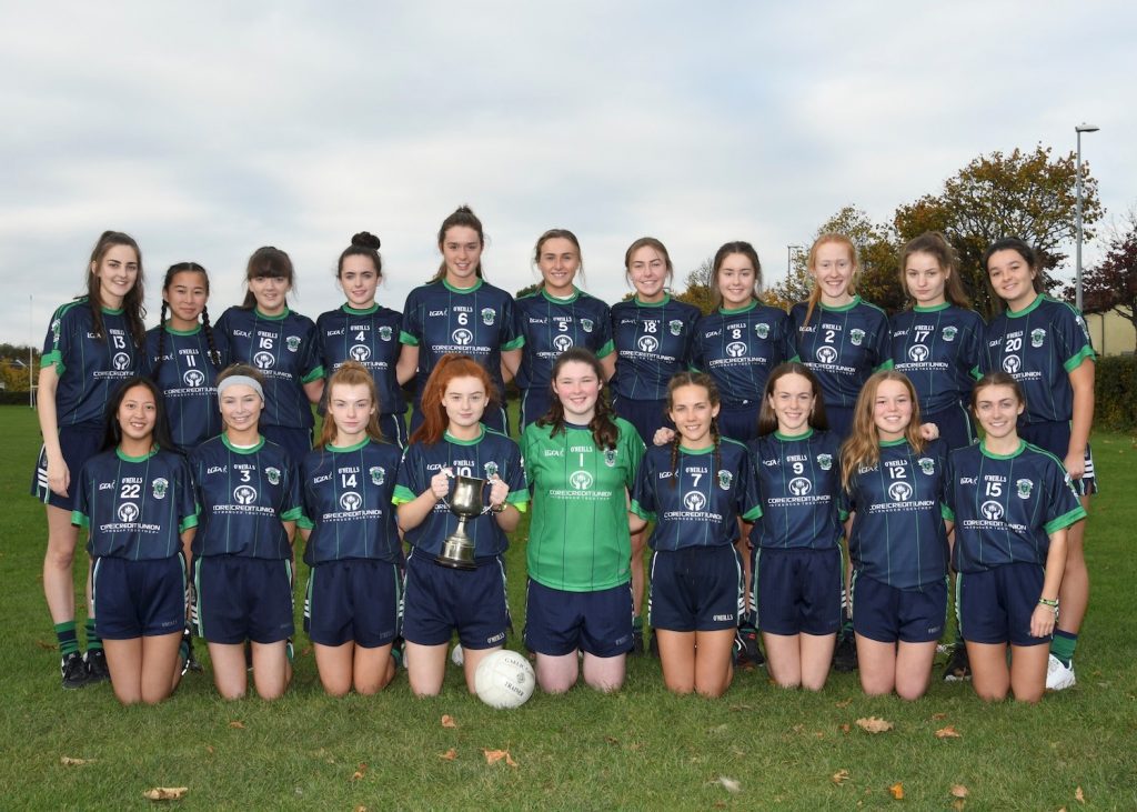 foxrock-cabinteely-ladies-gaa-team-photo