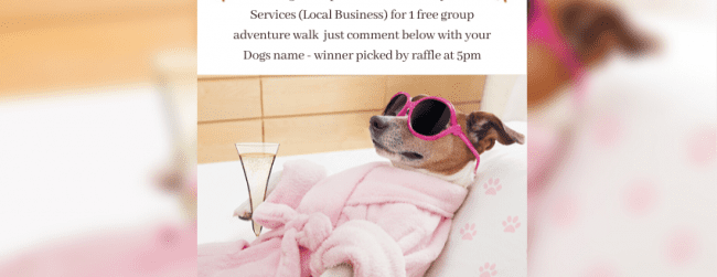 Dog Friendly Ireland Day – Competition!!